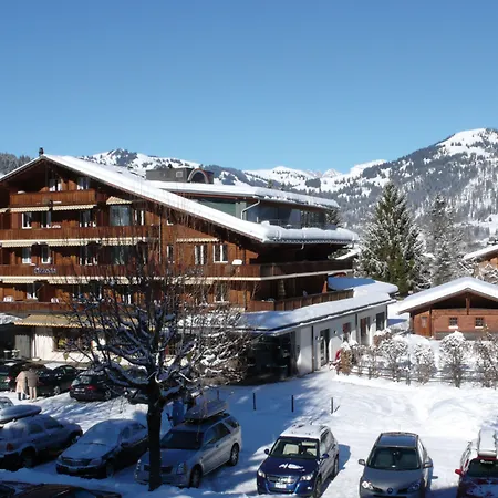 Hotel Arc-en-ciel Gstaad-3