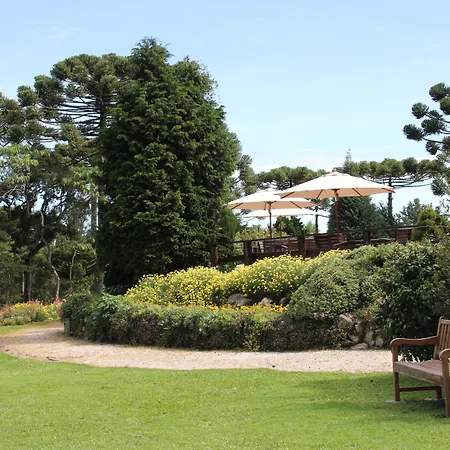 Hotel Toriba-3