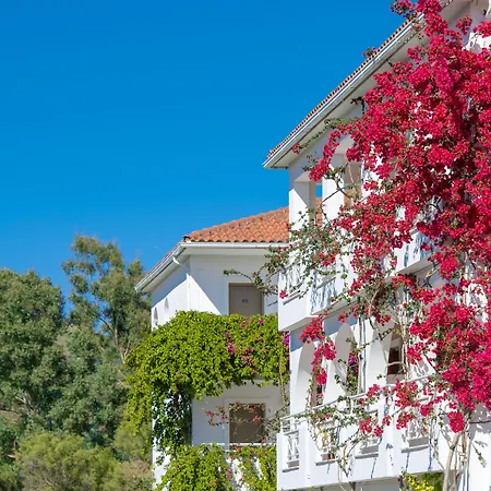 Bitzaro Palace Hotel-3