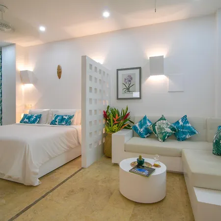 El Cactus Luxury Apartments In Historic Center-2