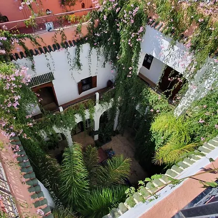 Riad Le Dromadaire Bleu By Weekome-3