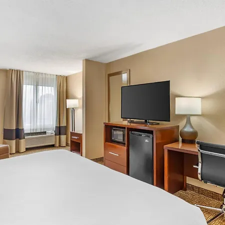 Comfort Inn North Conroe-3