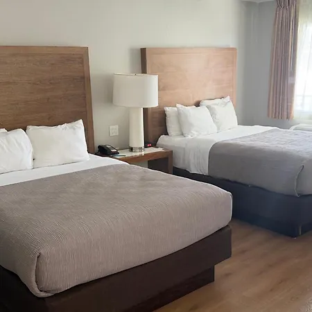 Quality Inn & Suites By The Parks-2