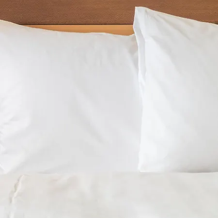 Hotel Indigo Mount Pleasant By Ihg-3