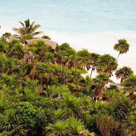 Papaya Playa Project, Tulum, A Member Of Design Hotels-2
