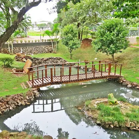 Stella Solaris Cataratas-3