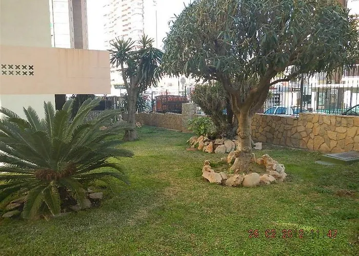 Perros hoteles Las Carabelas