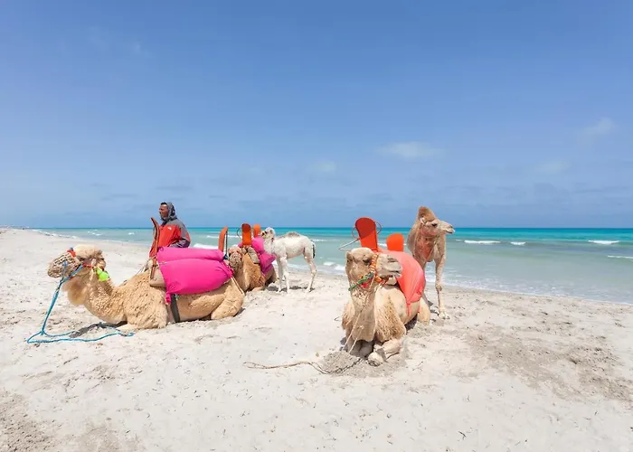 Hotel Spa: Djerba Aqua Resort