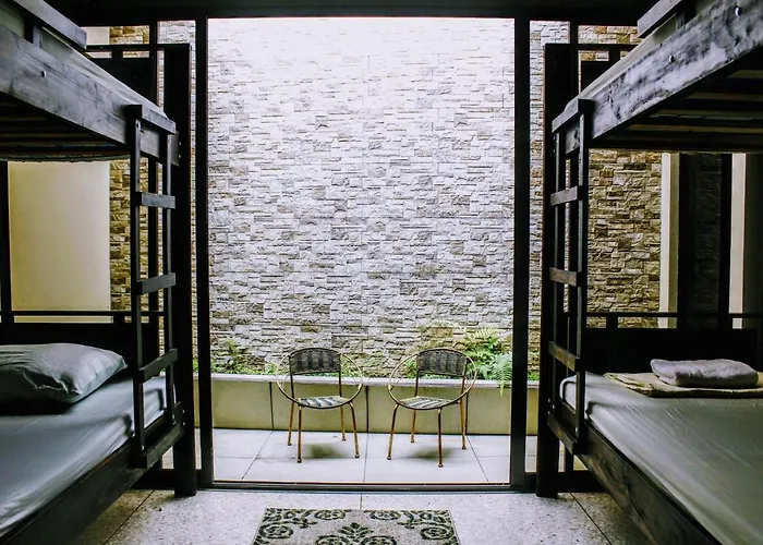 Hotel near College: Stray Cat Hostel