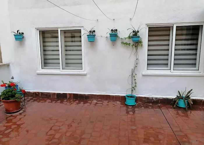 Perros hoteles Colores