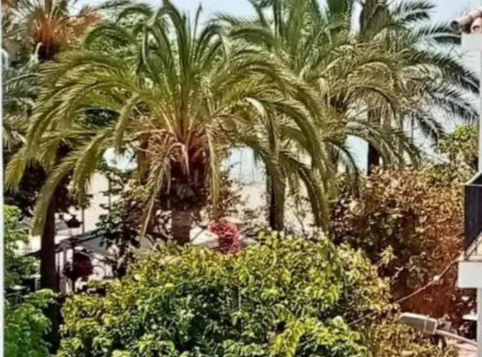 Beach s Old Town