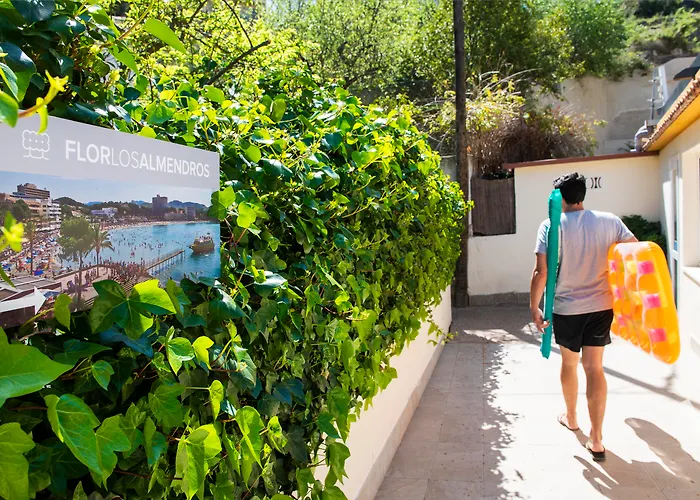 Hotel de playa: Hotel Flor Los Almendros