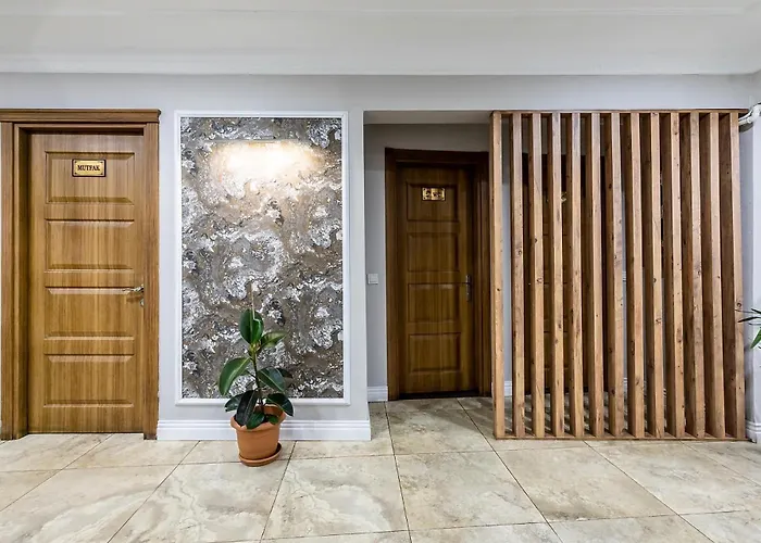 Pet Friendly hotel: Kadirga Antik Hotel - Sultanahmet