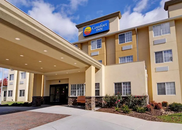 Comfort