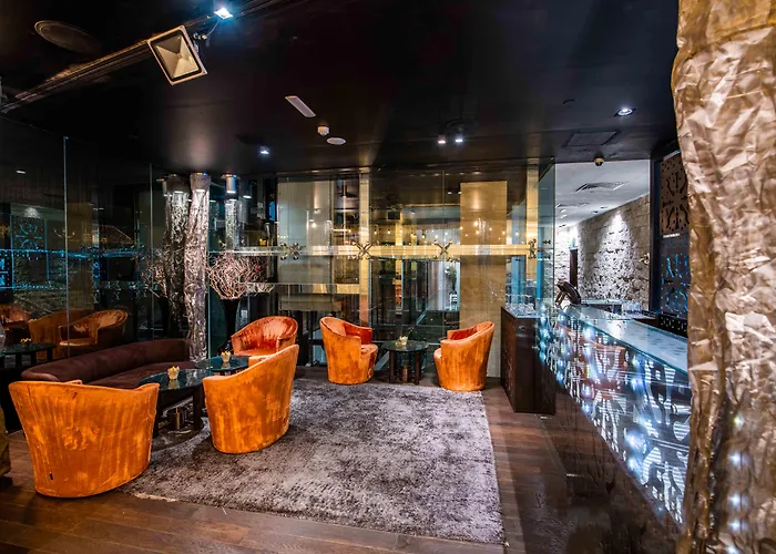 Central hotel: The Canvas Dubai - Mgallery Hotel Collection