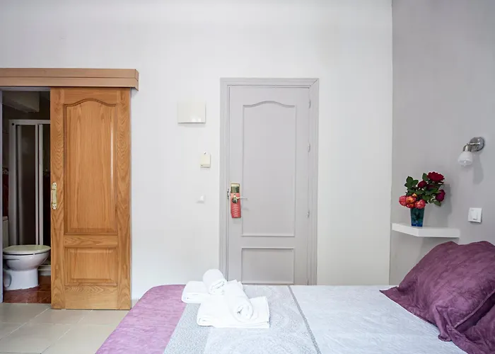 Hôtel accueillant les animaux: Hostal Inter Plaza Mayor Auto Check In