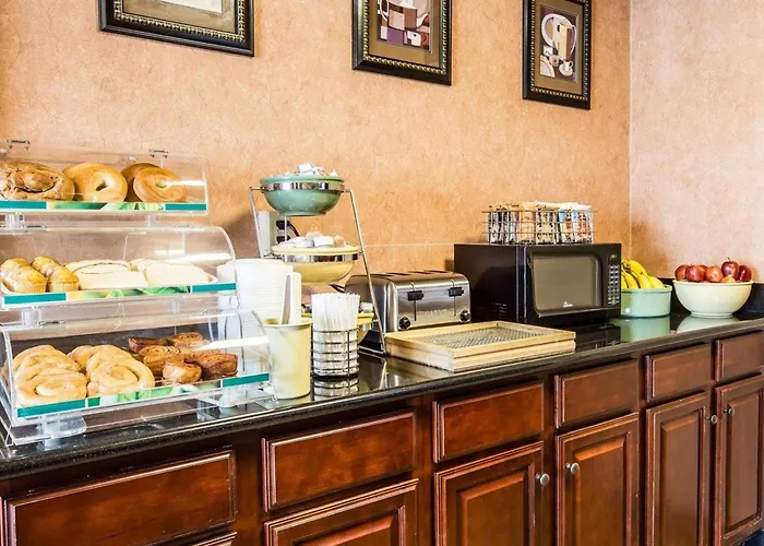 Pet Friendly hotel: Quality Inn & Suites - Greensboro-High Point