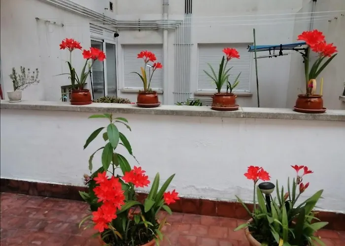 Perros hoteles Colores