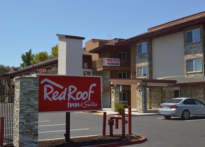 Motel: Red Roof Inn & Suites Sacramento North