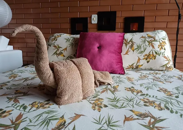 EccO Capricornio