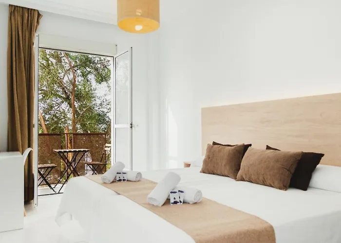 Hotel que admite mascotas: Hotel Olive