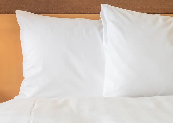 Boutique hotel only: Holiday Inn Manassas - Battlefield By Ihg