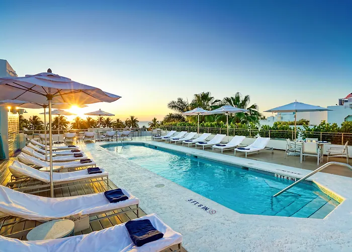 Resort: The Tony Hotel South Beach