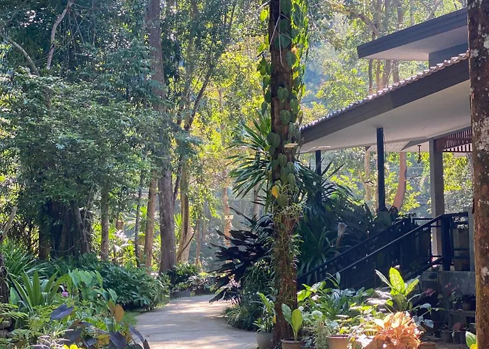 Khao Sok Nature
