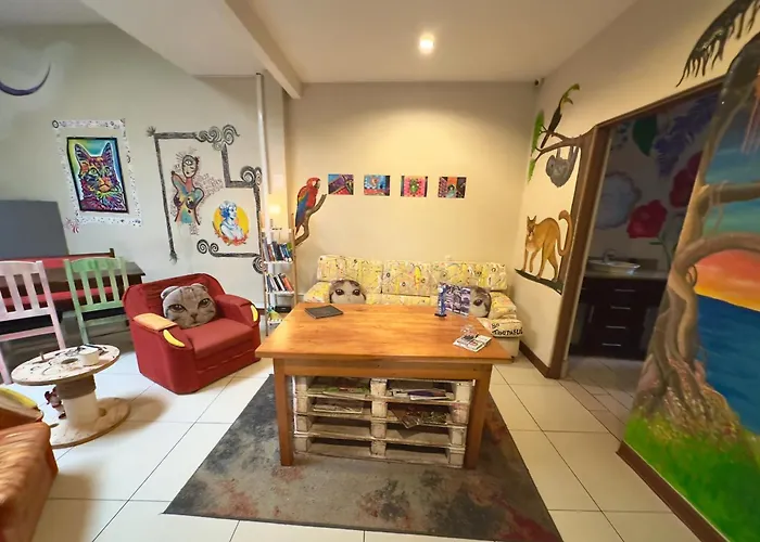 Hotel near College: Stray Cat Hostel