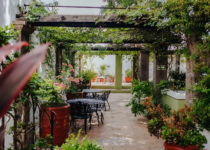 Dog friendly hotels Casa Quetzal