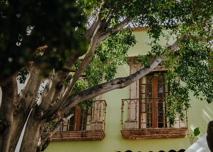 Dog friendly hotels Casa Quetzal