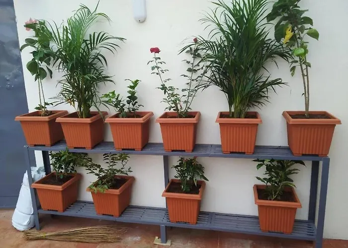 Anjani Suta Home Stay
