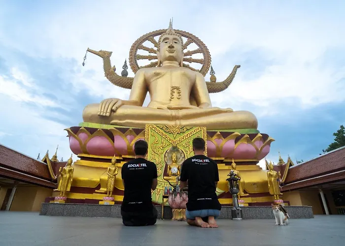 Ping Pong hotel: Socialtel Koh Samui (Adults Only)