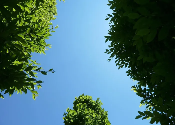 Family Hotel: Sangallo Park Hotel