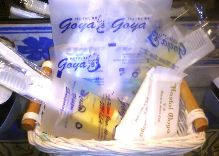 Luchthavenhotel: Hotel Goya