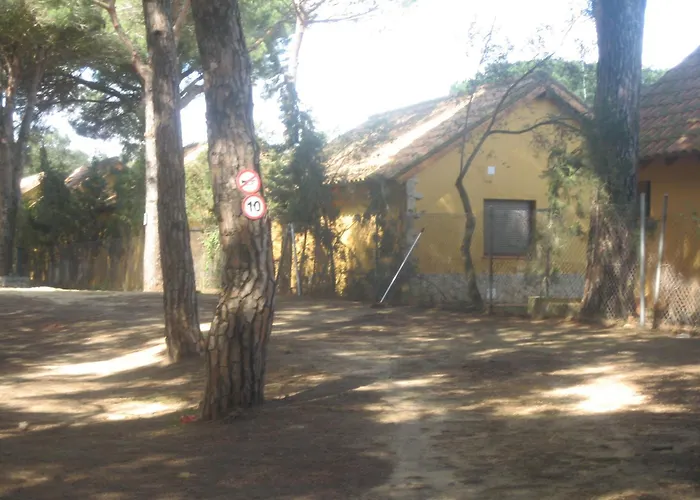 Rural Vejer