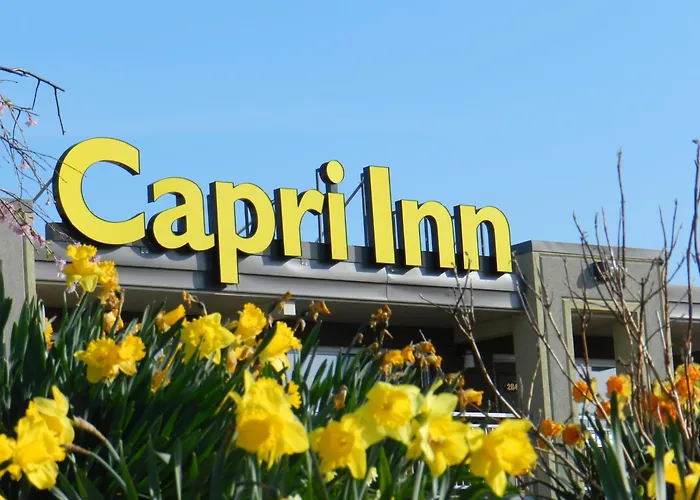 Capri Inn