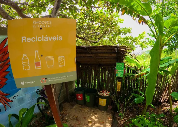  Raízes Eco