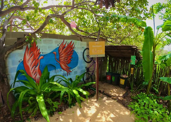  Raízes Eco