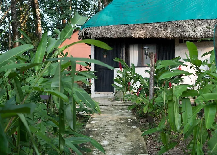 Cabanas Safari