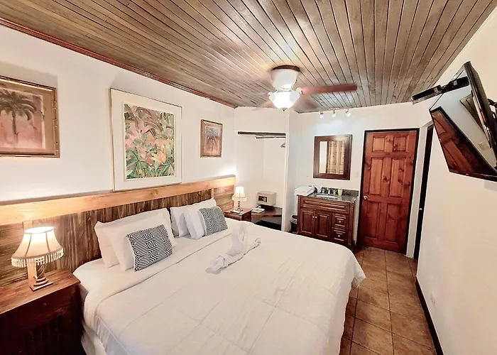 Cheap hotel: Colours Oasis Resort Adult Only