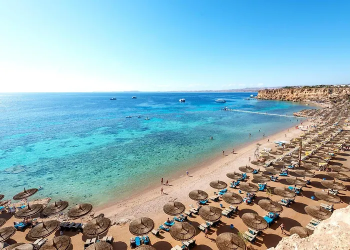 Ping Pong hotel: Reef Oasis Beach Aqua Park Resort