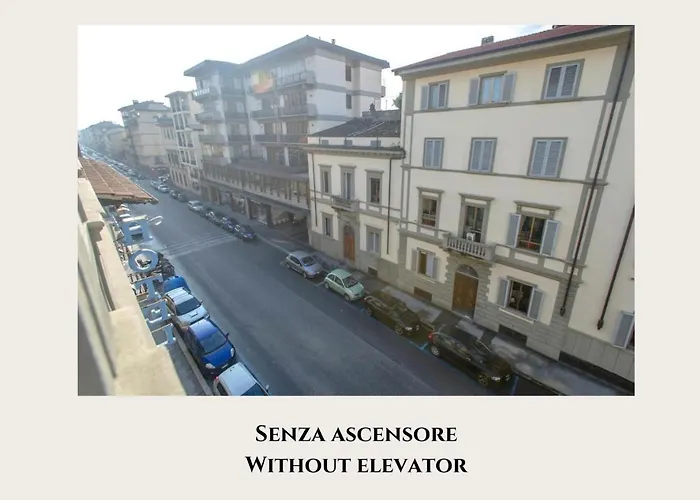 Hôtel accueillant les animaux: Hotel Masaccio