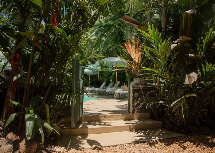 Hôtel central: Maison Tropical