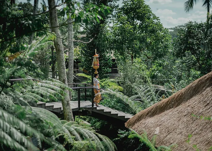 Familiehotel: Hoshinoya Bali
