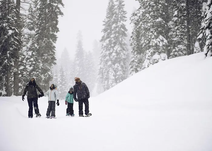 Modern Hotel-Style Studio - Timber Creek Lodge #210 Hotel Room