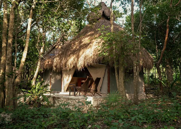Akumal Natura Glamping