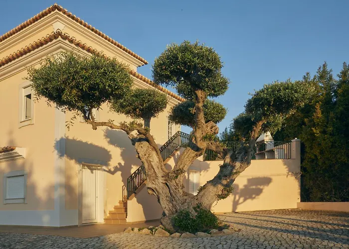 Villa: Villa Monte Das Oliveiras With Private Pool