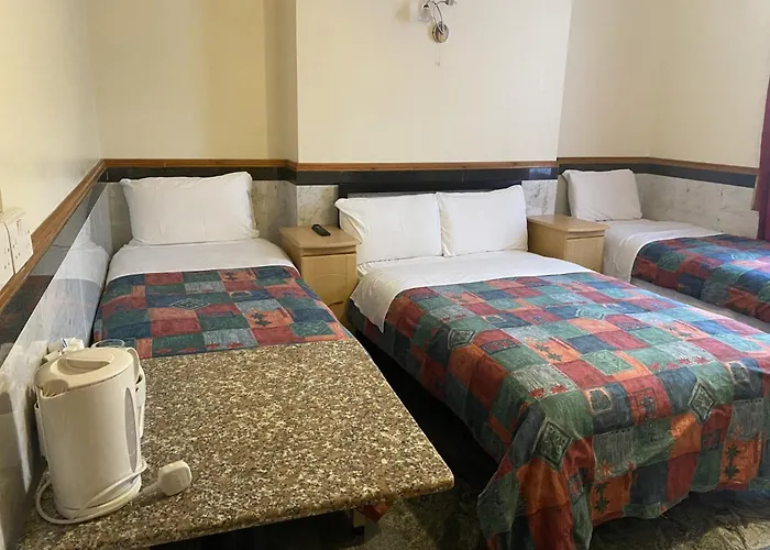 Family Hotel: European Hotel