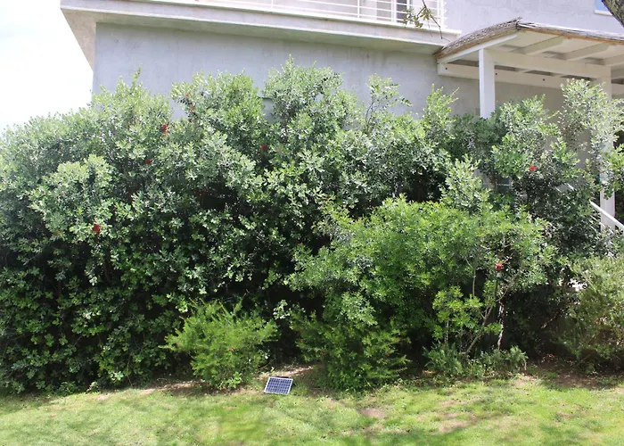 Maison d'hôtes: Lido Del Faro